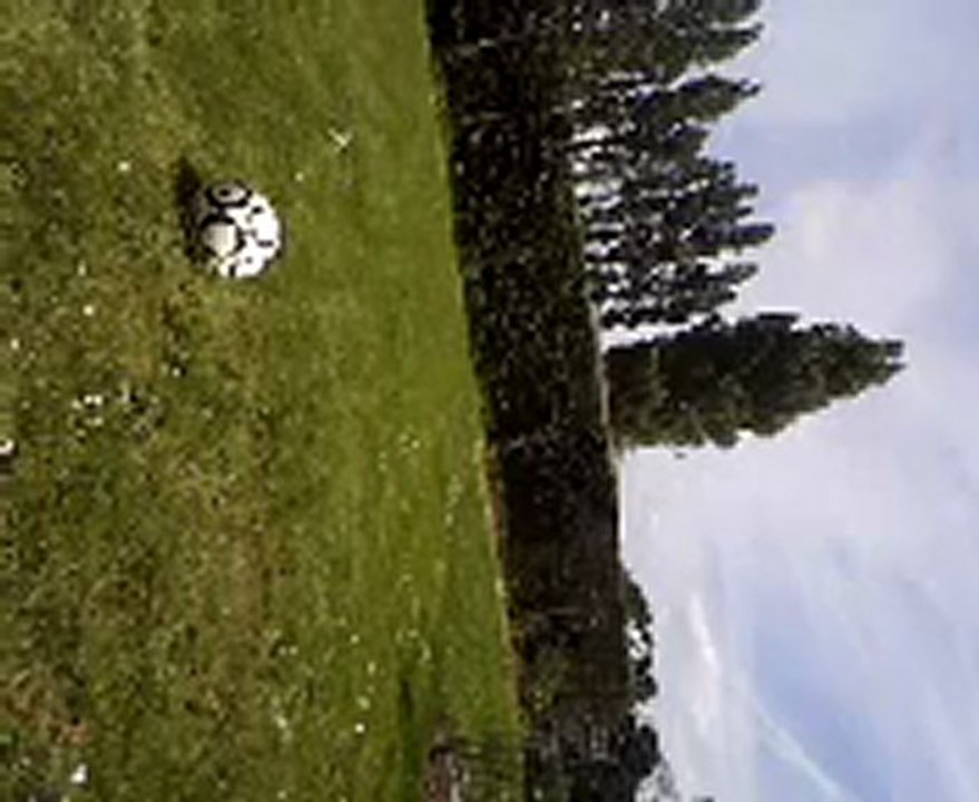 Alan's Football Journey ⚽