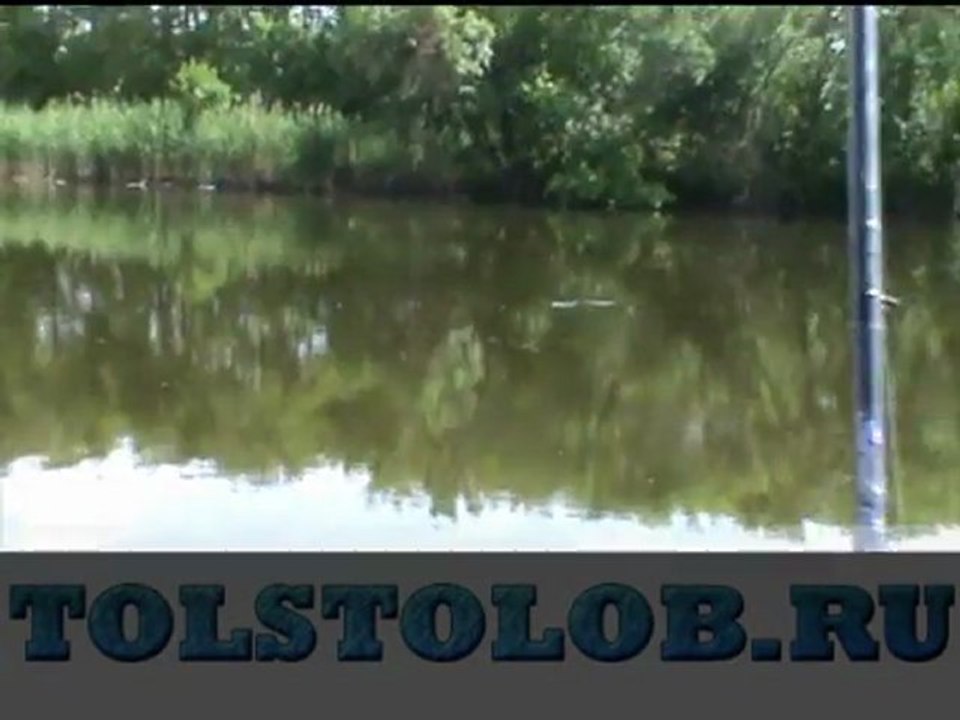 толстолоб открытие сезона Аким