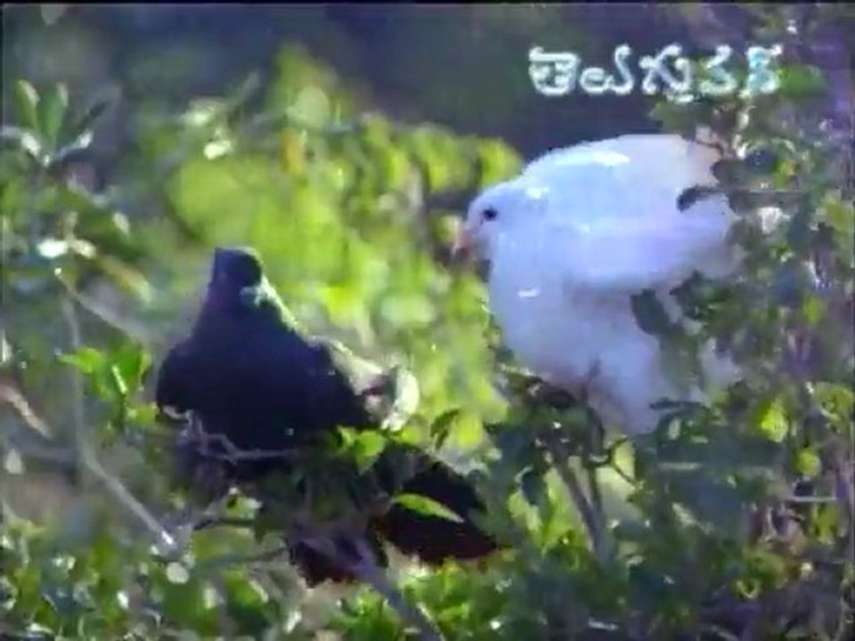 Anveshana - Ku Ku KU