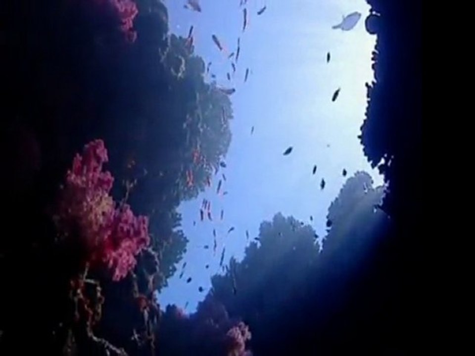 The True History Of Mankind- Part 1