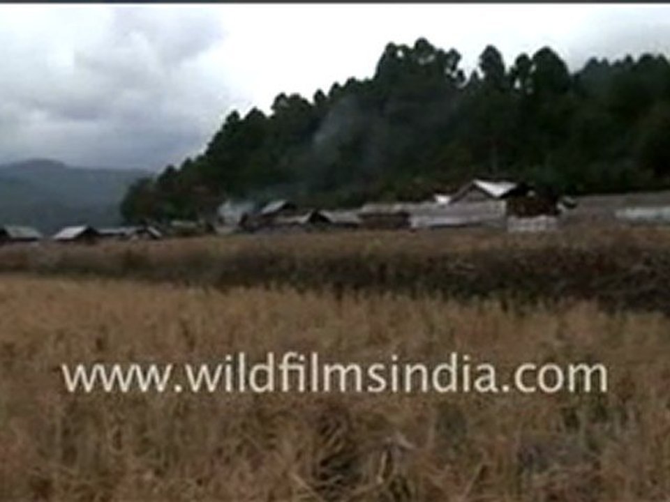 Agriculture in Arunachal Pradesh