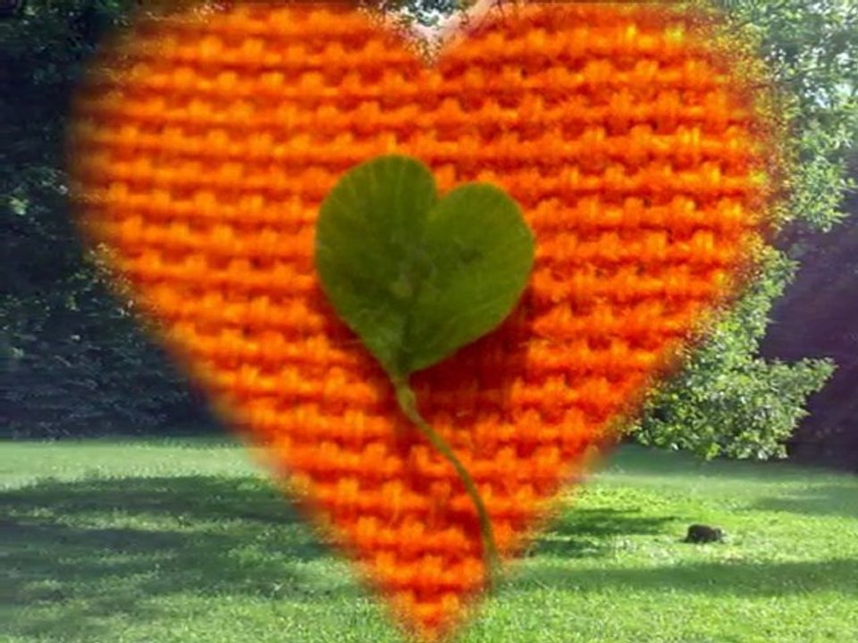 ANTHONY B Heads Over Heels