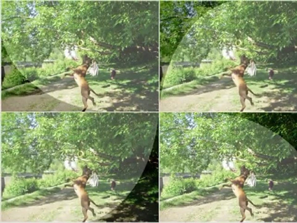 Счастливы вместе.