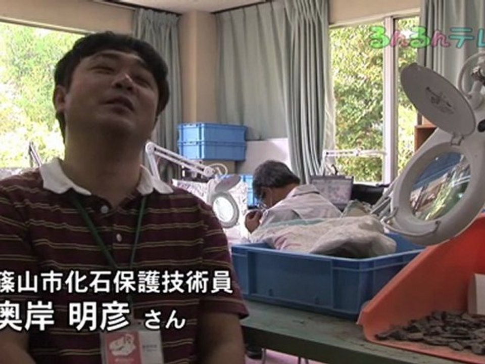 太古のロマン　丹波竜のまち（兵庫県・丹波地域）