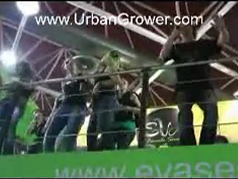 Spannabis 2011 Reggae Music