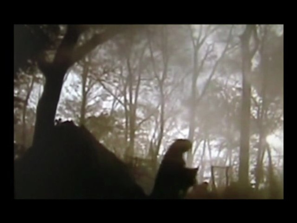 Rockin'Squatt Amaru❤ Ka