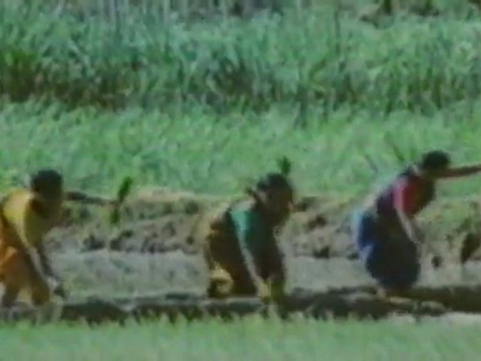 Romantic Village Drama with Sridevi & Chandra Mohan 🌸