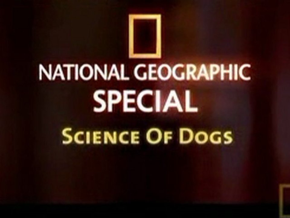 Science of Dogs