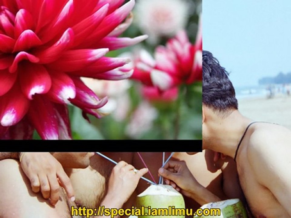 What is LIMU? Discover LIMU Nectar 🌿