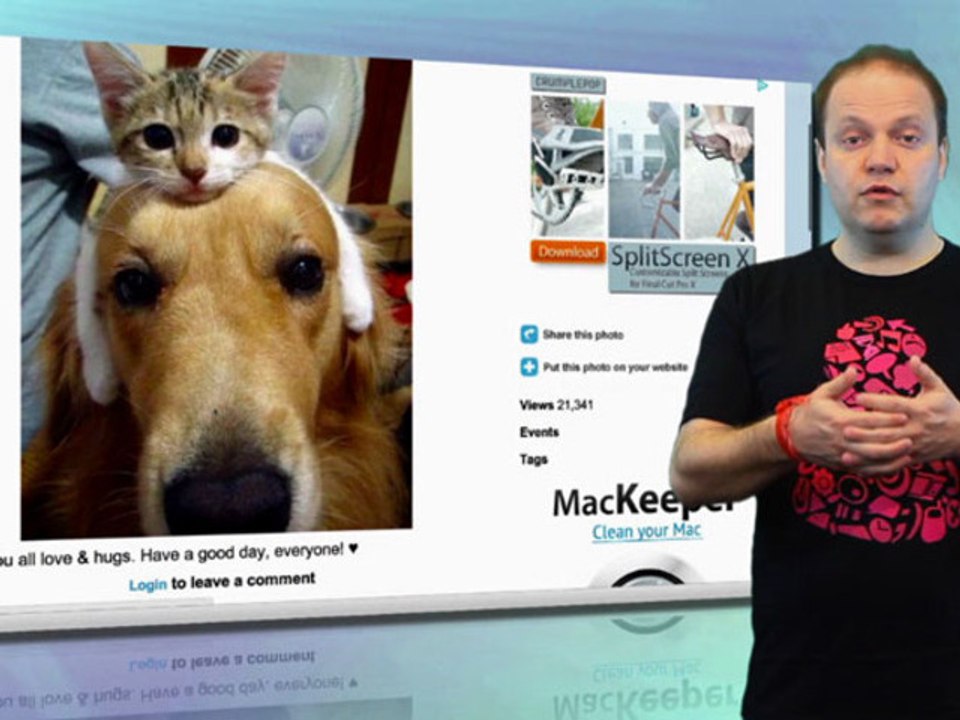 freshnews 1x53 (11/11/11)