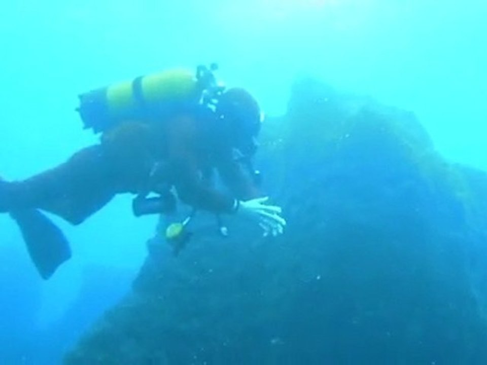 Planier 11 11 11 3 Fertilizer Guide