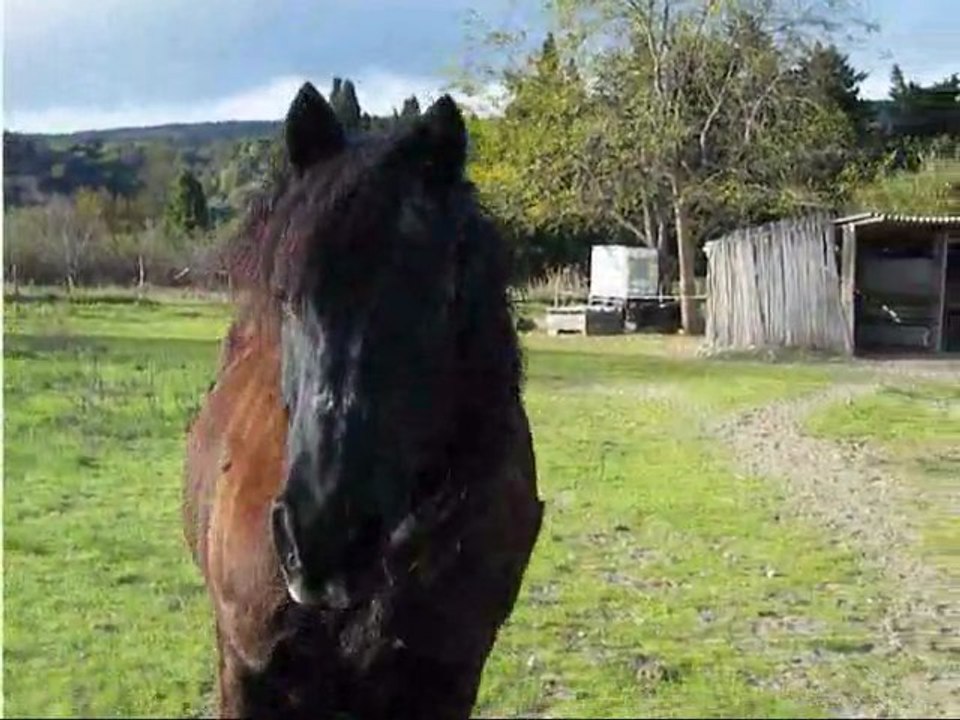 Good Emm cool, cool cool !