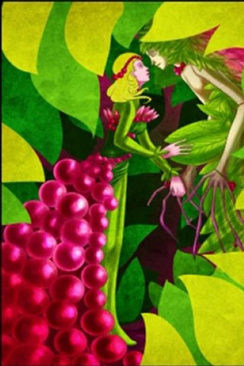 Step by step Raspberry et Grün