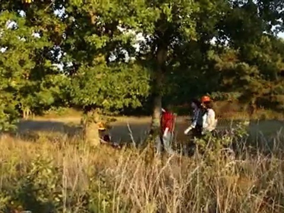 Justice Divine - Film L3 ADS