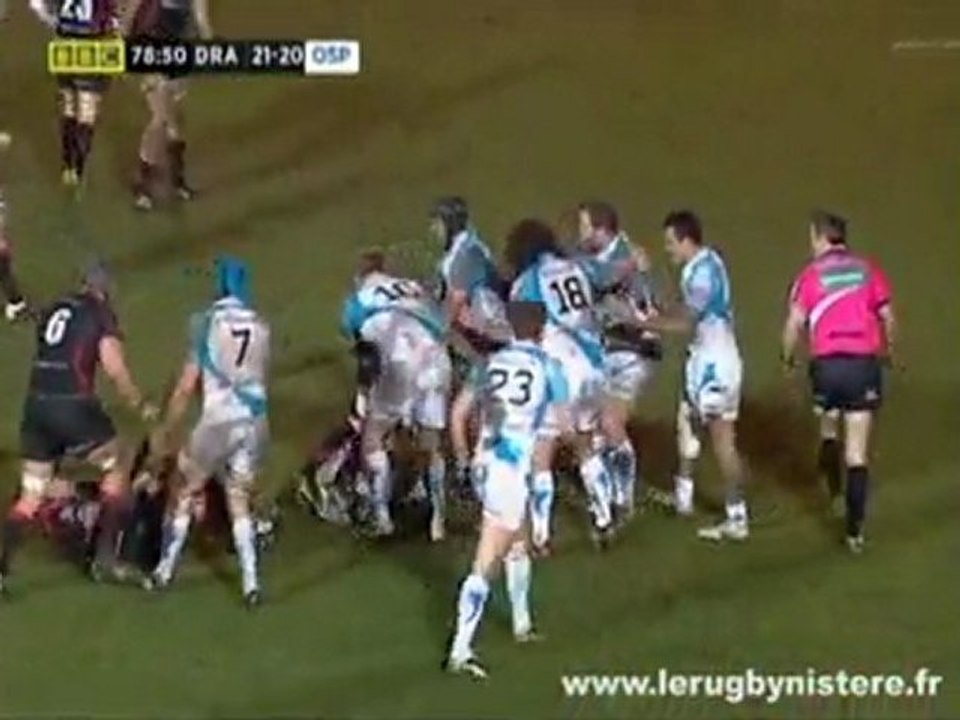 Incroyables similitudes Ospreys