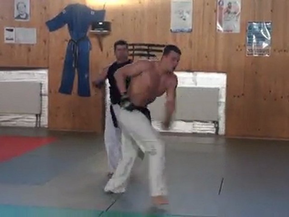 Taekwondo vs ninjutsu (real fight) - trailer