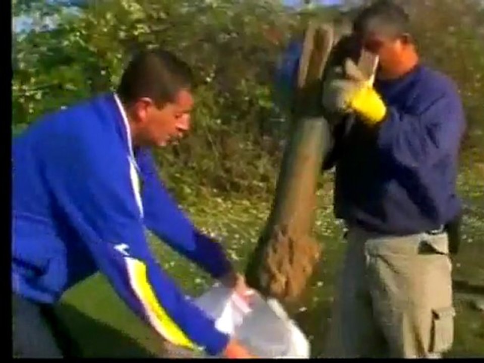 Palestinian Politics in Flux