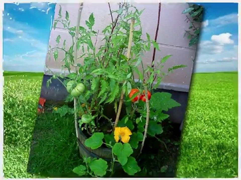 Aimer est plus salutaire que d'être aimé ❤️