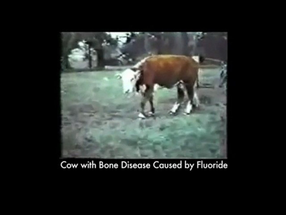 FLUORIDE - WHAT is it  and WHY its in our water