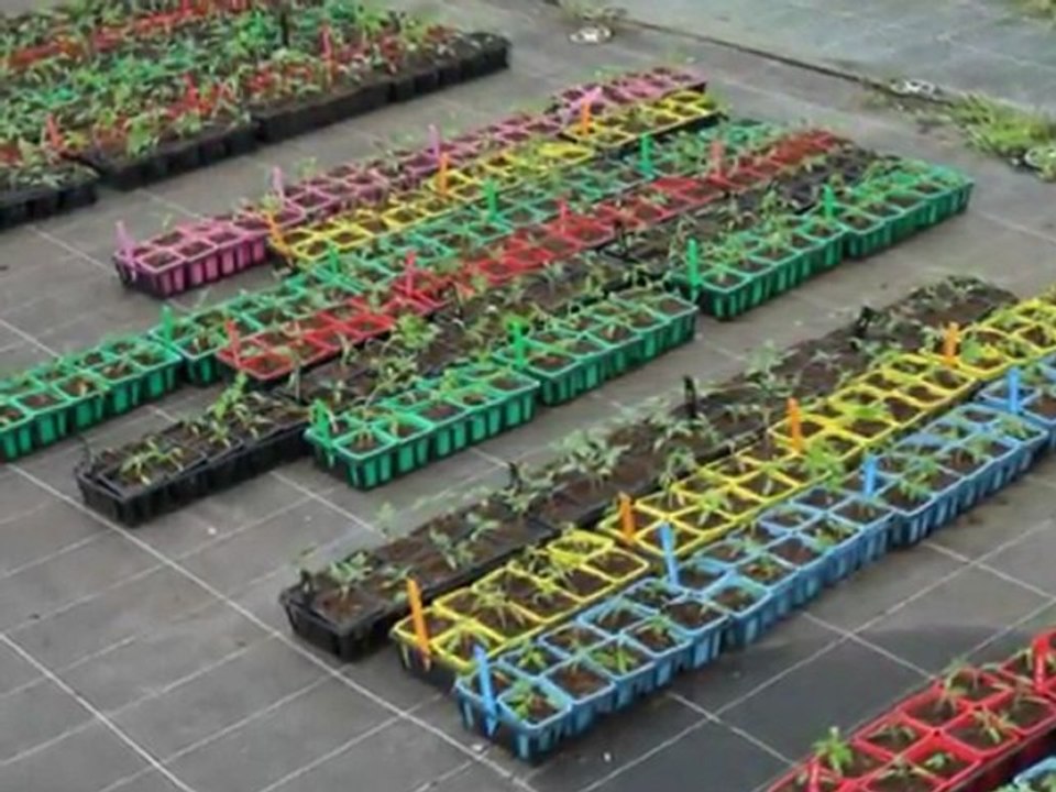 présentation jdt 2012