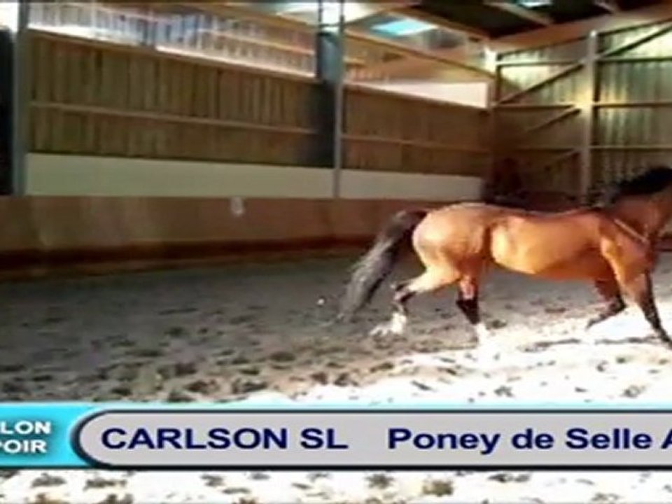 à vérifier CARLSON-linaro dvd