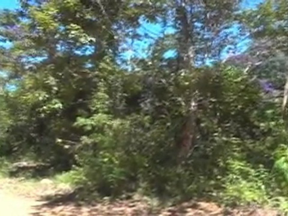 Lonely or not lonely ?