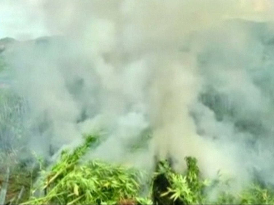 Up in smoke in Mexico