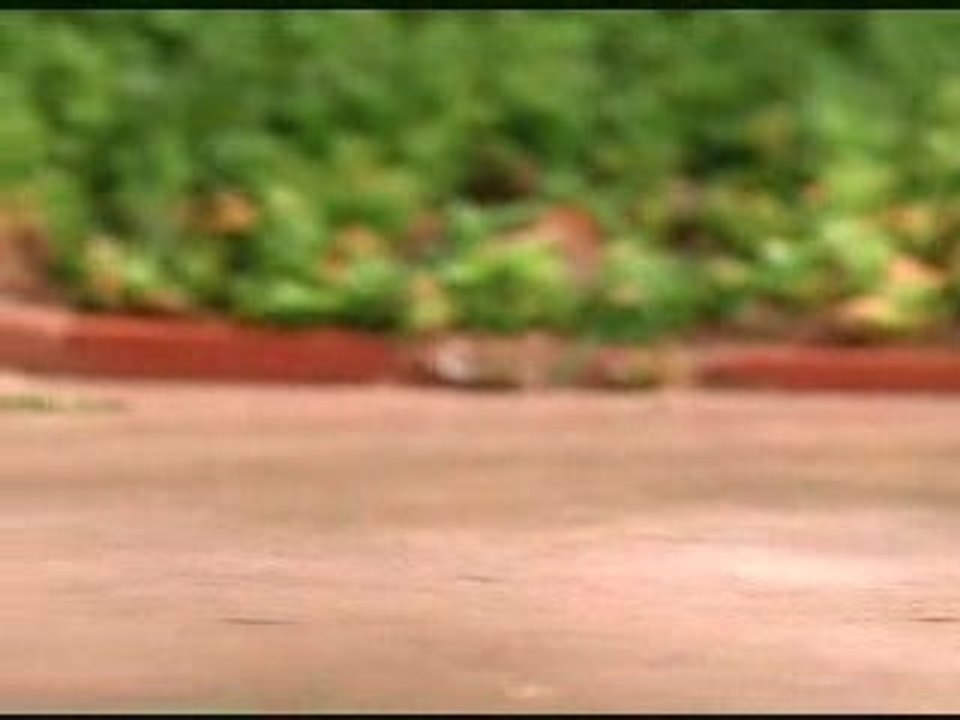 Fountains Of Wayne - Stacies Mom