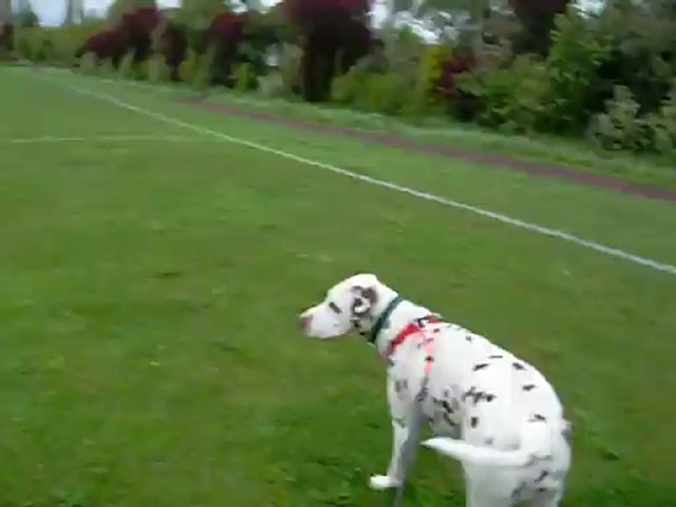 première balade avec Eol