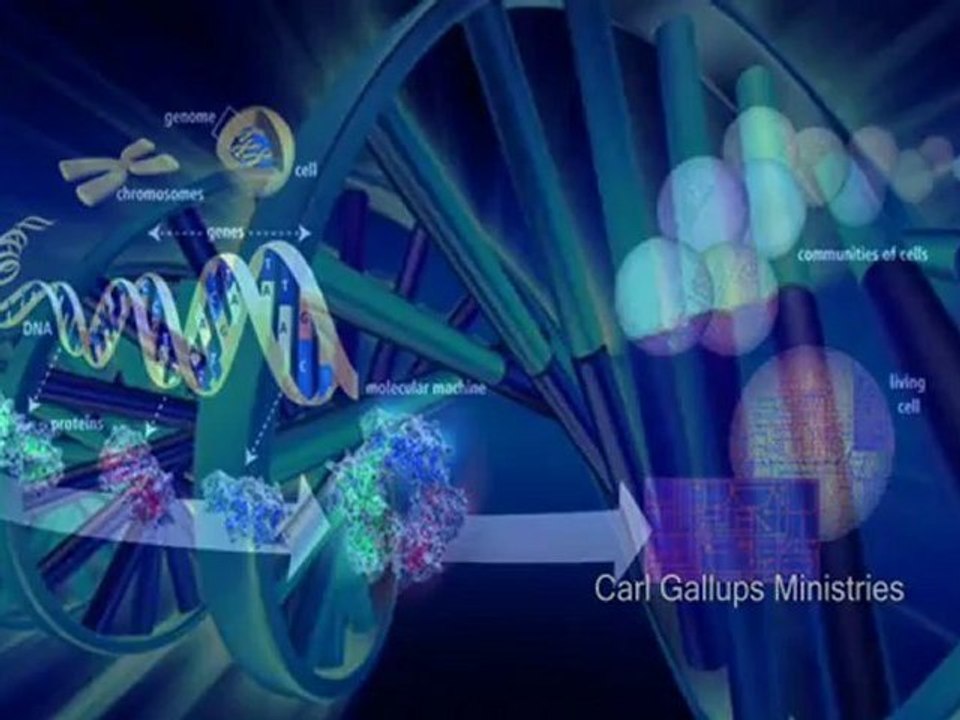 EVOLUTION and DESIGN DYNAMICS     Carl Gallups Explains