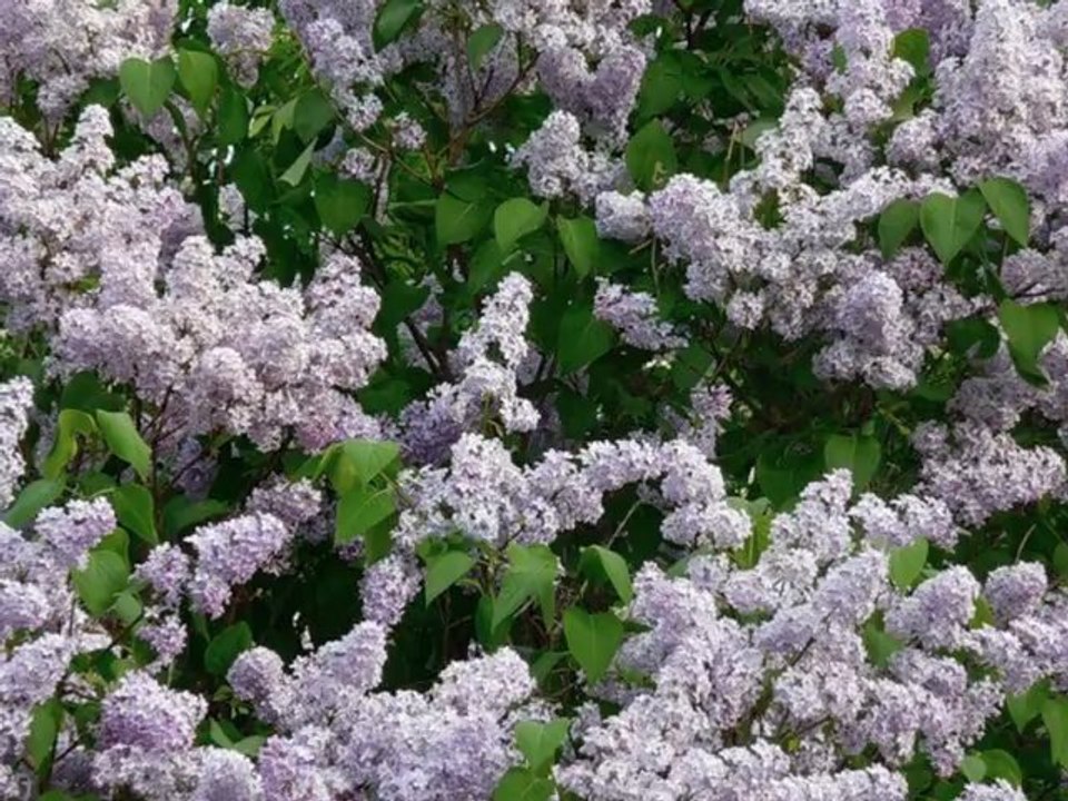 Фотосессия для альбома A Year Without Rain (2010) с Селеной Гомес