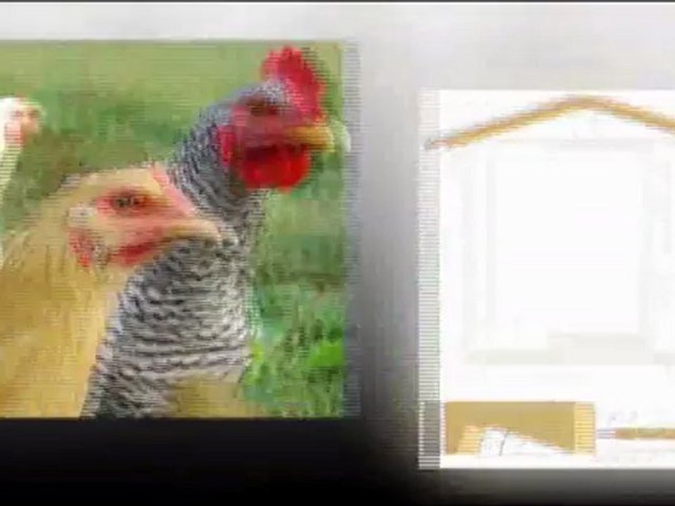 What You Need Is A Great Chicken Coop Plans PDF