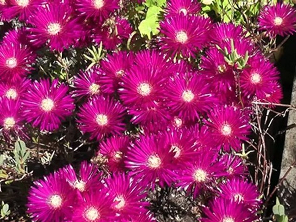 11 November 2011  or   11-11-11