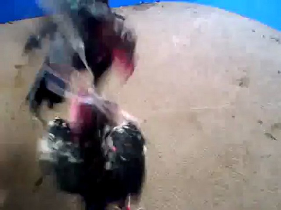 lancer di turnament team papaji.