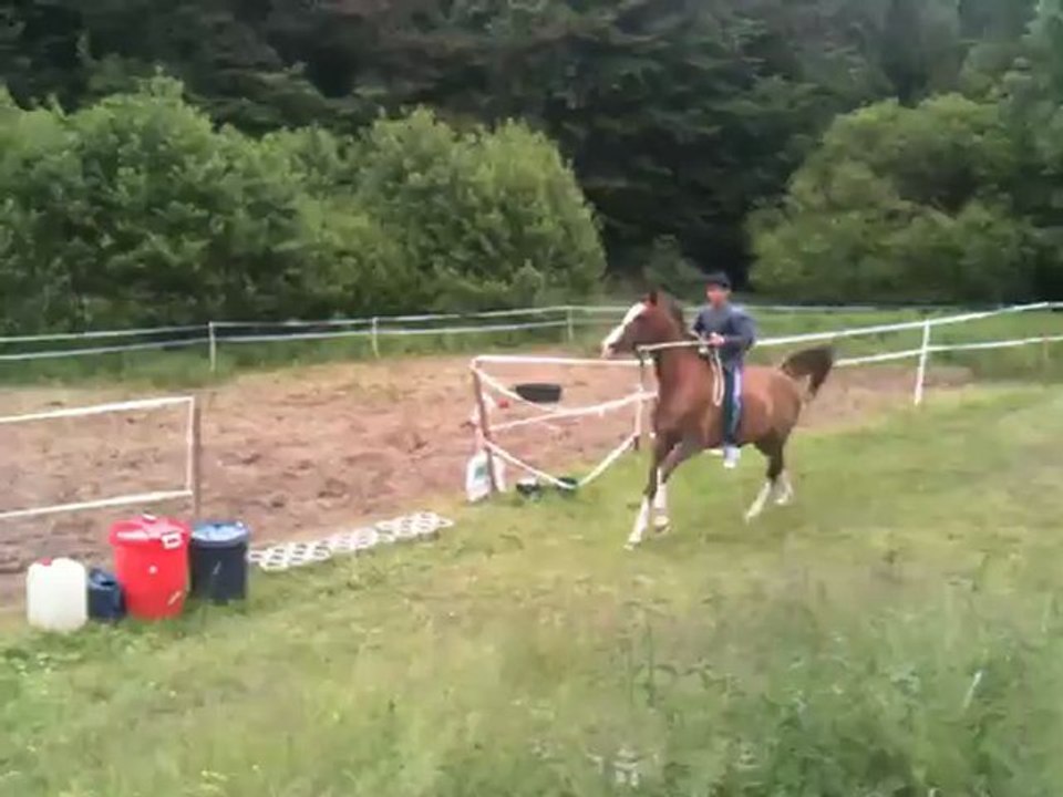 Caesar-Atlama: Arab Atı Atlarken 🐎