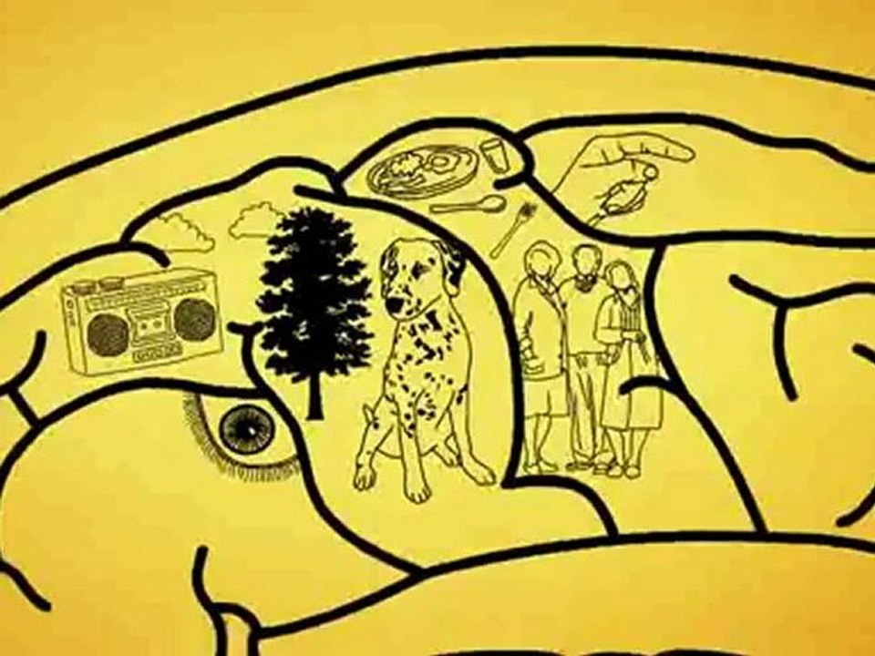 What Is Alzheimer’s? Symptoms & Overview 🧠