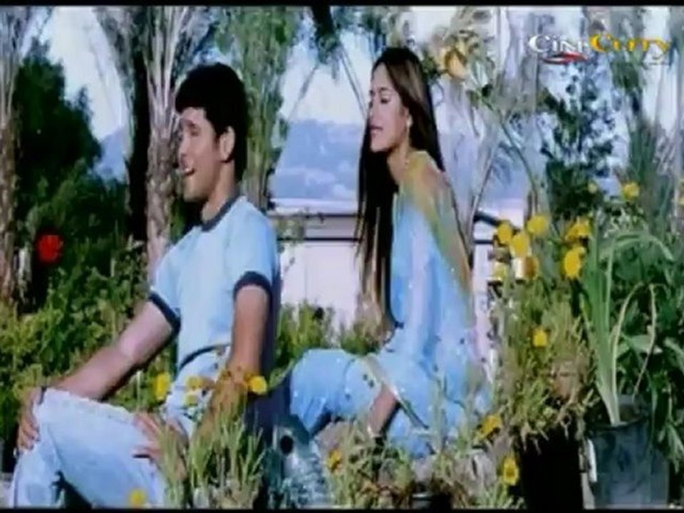 Love Moodinalli - America America