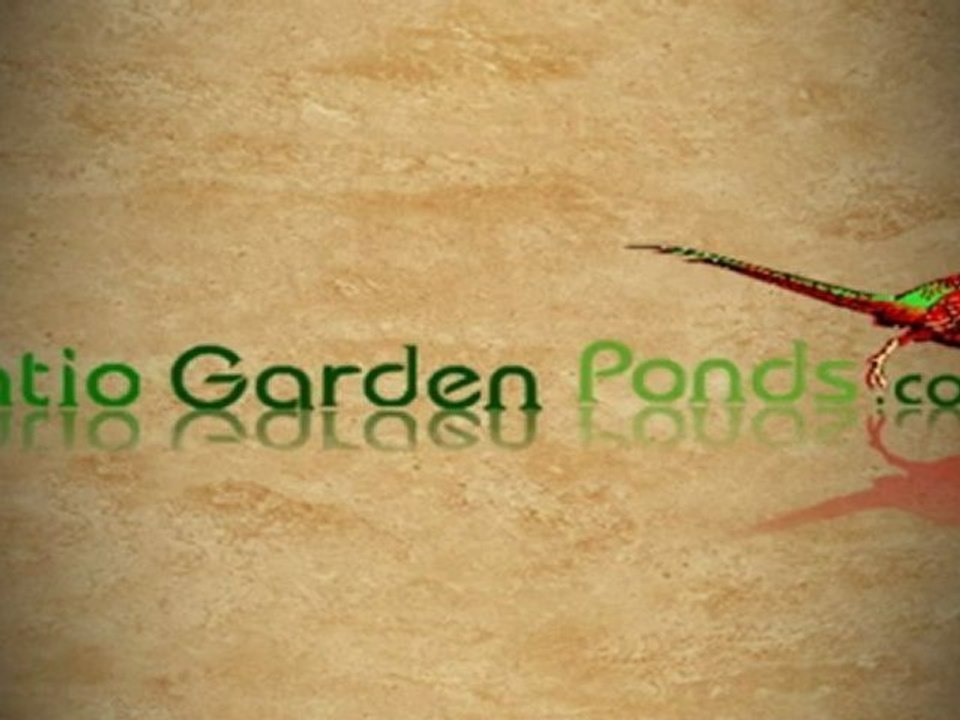 Critters - Critters Iowa Pocket Guide Review