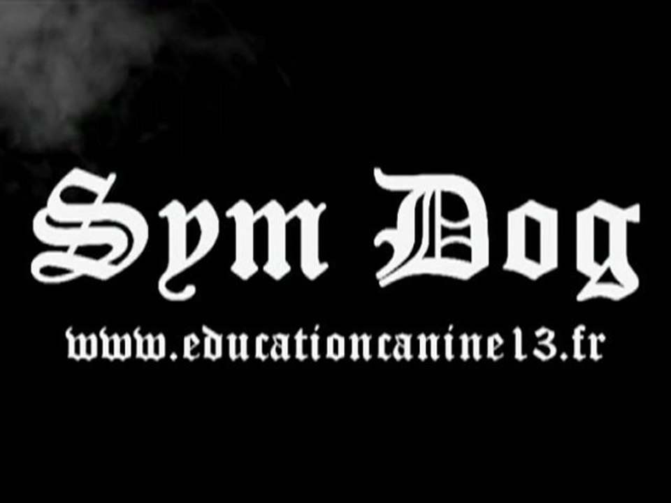 AMERICAN BULLY / AMERICAN BULLIES