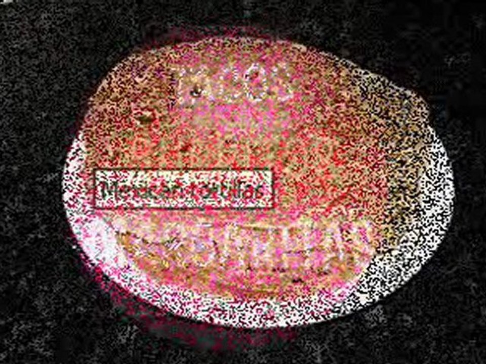 Healthy Real Mexican Food | El camion