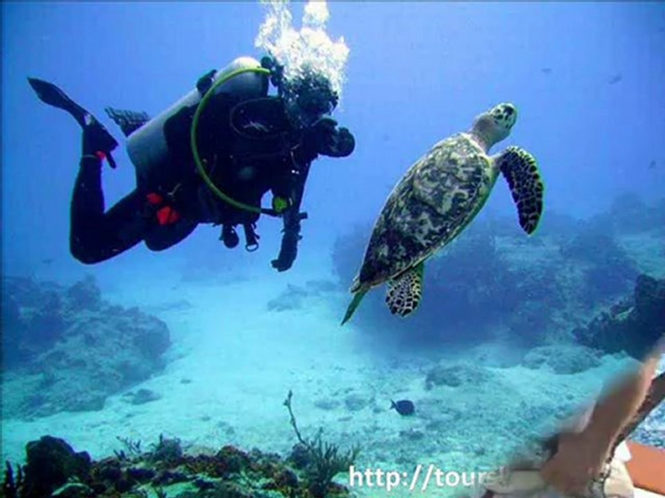 Top Things to Do in Key West 🌴 | Ultimate Travel Guide