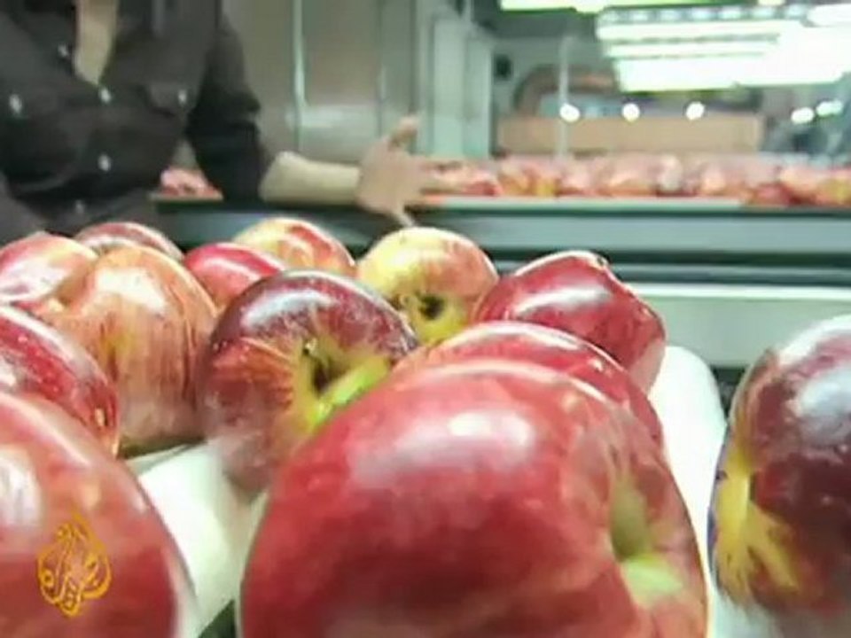 Kiwi apples: Aussies' forbidden fruit