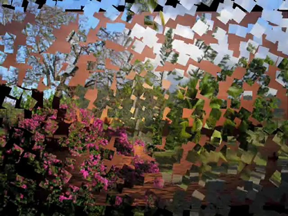 Franck DORISTIL - MES SIMPLES MOTS - MY SIMPLE WORDS - TES VERSION