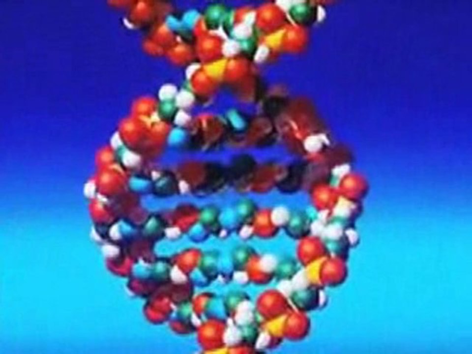 LOVE, JOY, FAITH, BRAVERY and 528 MUSIC by Dr Leonard Horowitz Part 3