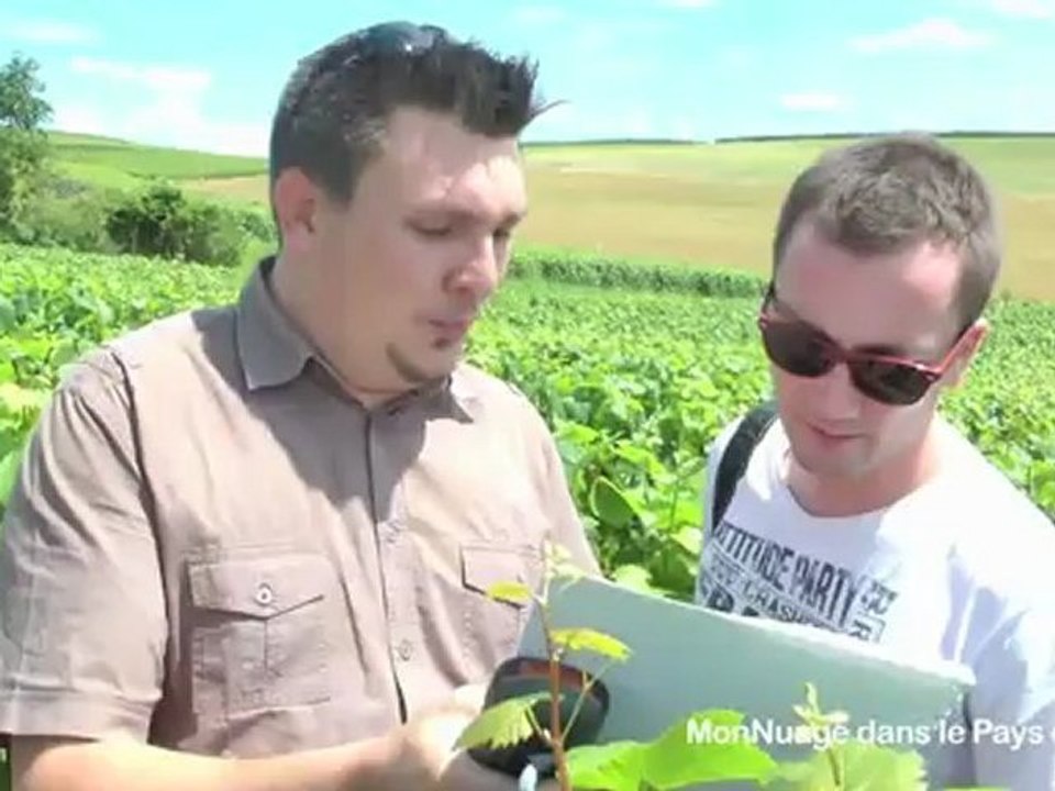 Dernier Jour au Lac du Der 🌅