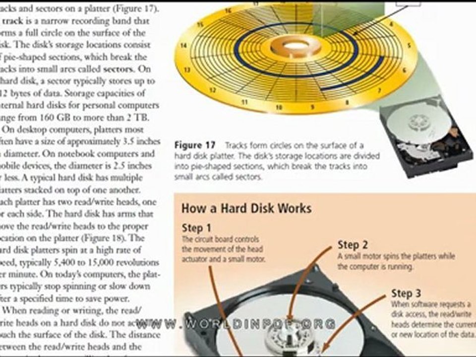 Microsoft Office 2010 Introductory FULL PDF ebook  free download