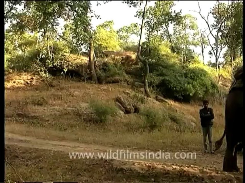 Hamsa-Kumbhaka2-20-1