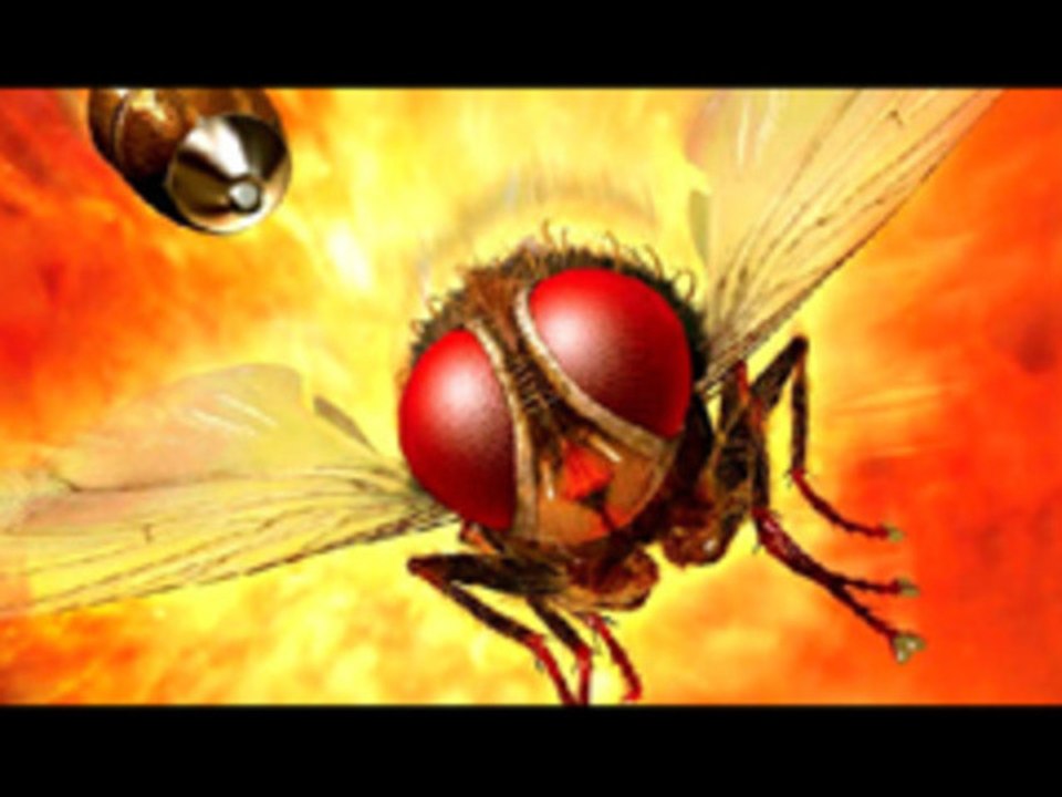 Stunning Facts Behind 'Makkhi' Movie Graphics