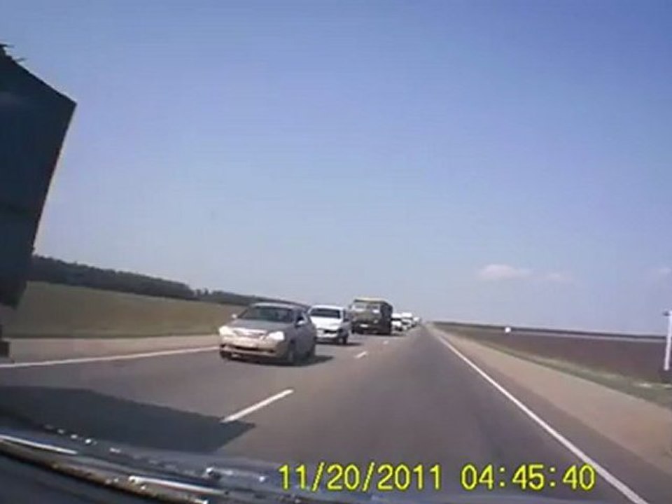 Дерзкий побег гусей