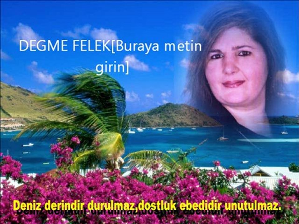 Belgian Degree Felek: Overview & Insights